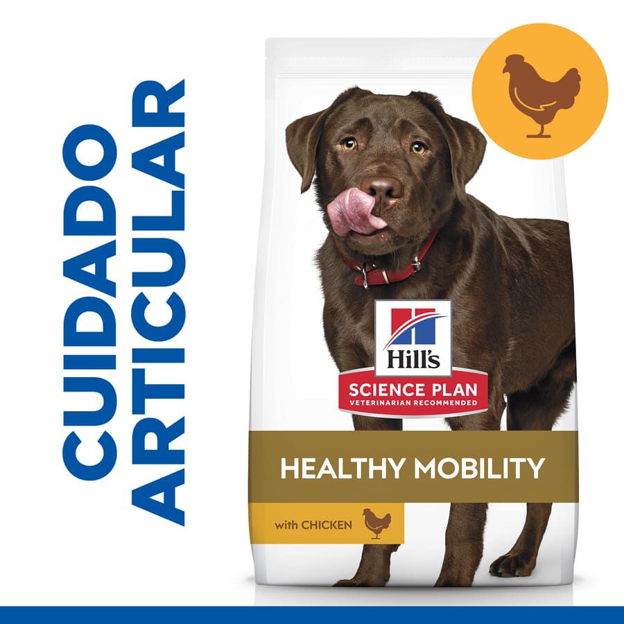 12 kg Hill's Science Plan Healthy Mobility Adult Large Pollo pienso para perros, , large indicador imagen numero 2